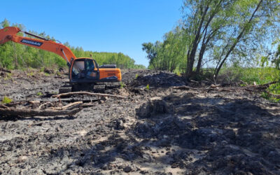 Infraestructura en marcha: canales de desagote y consolidación del suelo