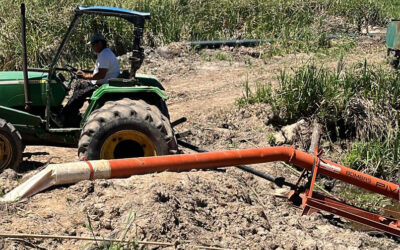 Más maquinaria en acción: Conectividad y drenaje
