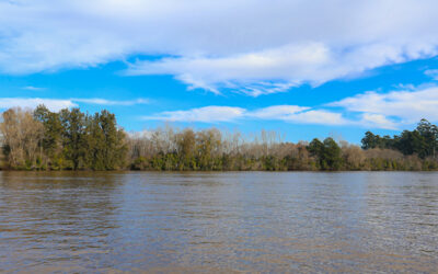 Oportunidad en tierra firme: por qué este es un gran momento para invertir en Bahías del Paraná