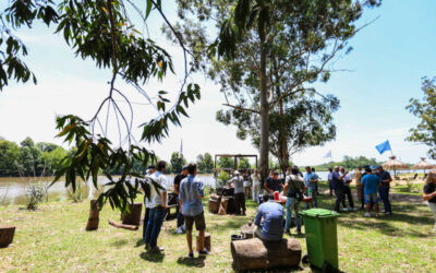 ¿Qué actividades se pueden hacer en Bahías del Paraná?